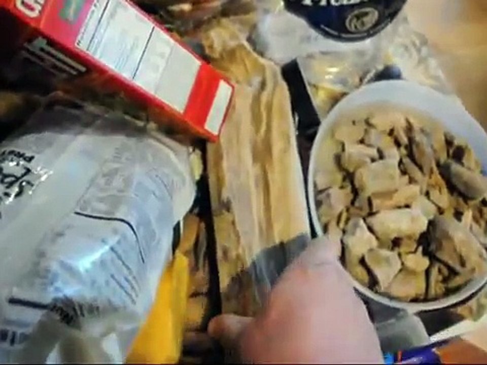 XXX Dinosaur Bones,Fossiles Deer Racks and Trees  For Sale