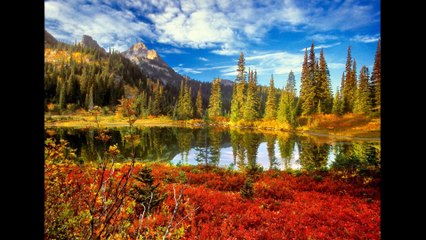 Bose Advert 2014 full version music h.d h.q 1080p