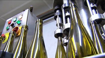 Reportage : Mise en bouteille vins de moselle