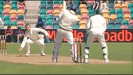 Cricket - Ducks_ Ducks AND......Ducks !! LOL