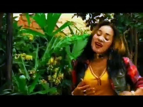 Vaiavy chila mahita raho anao niany