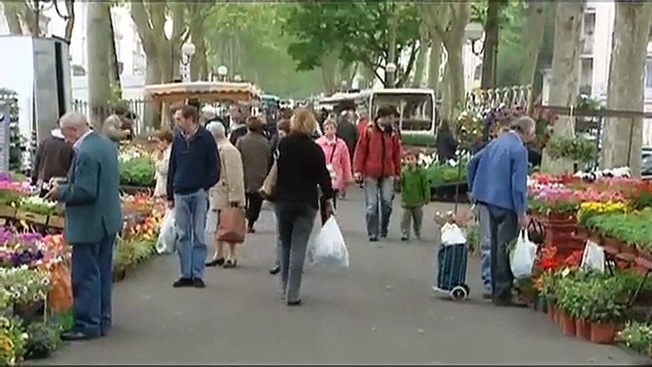 Ces points de permis si durs à garder