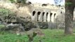 Pompei (NA) - Nuovo crollo agli scavi: smottamento nella Casa di Severus -live- (04.02.15)