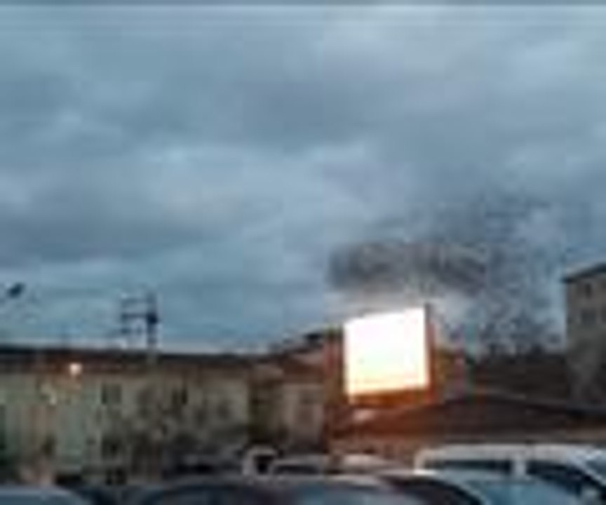 Kuşlardan muhteşem dans