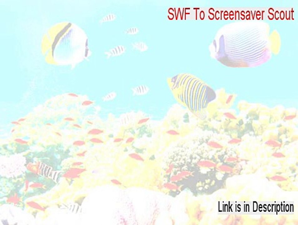 Swf Swf