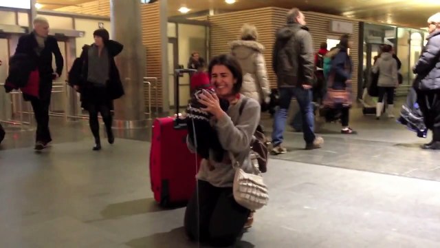 Un chien content de retrouver sa maîtresse