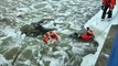 Guarda costeira dos EUA resgata cachorro de afogamento