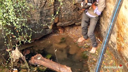 ÉMOTION : un chiot sauvé après être tombé dans un puit