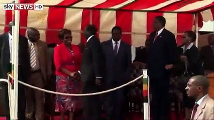 La chute de Robert Mugabe (Président du Zimbabwe)