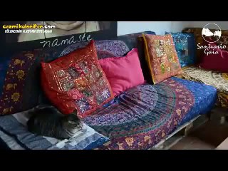 Kendine Cennet Gibi Hayat Kuran Adam