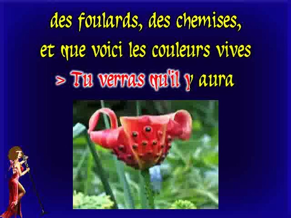 KARAOKE LES ENFOIRES - Le pouvoir des fleurs