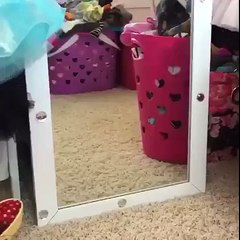 Finley is a very patient and well-behaved dog