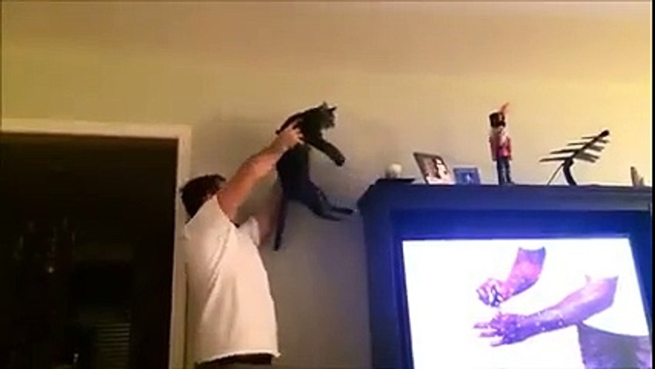 Team Work