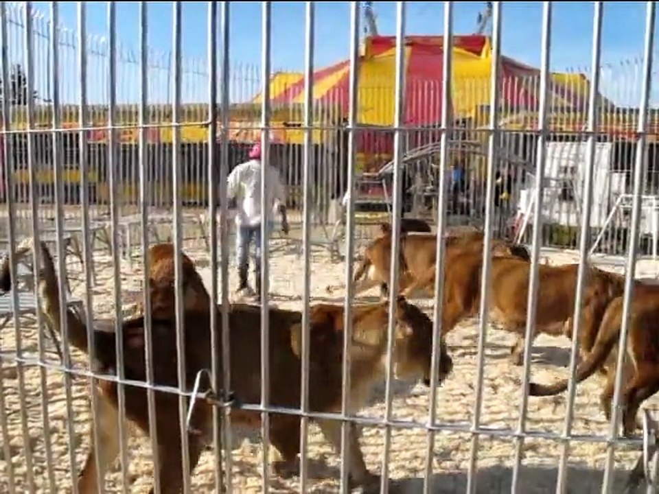Dans la cage avec Frédéric Edelstein (Pinder)