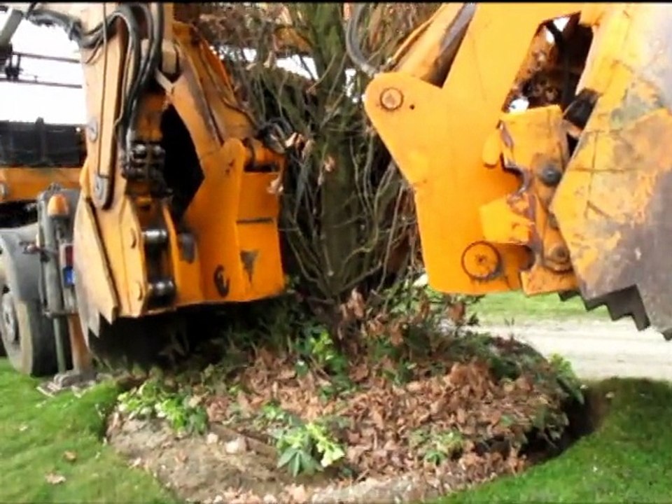 Tram : rempotage des arbres à Joué-lès-Tours