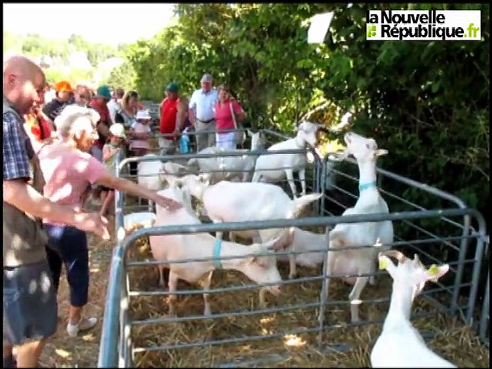 La foule retrouve ses racines paysannes au comice de Saint-Aignan