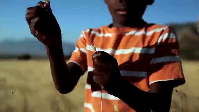 Fields of Africa - Canon 5D Mark II - Glidecam 4000