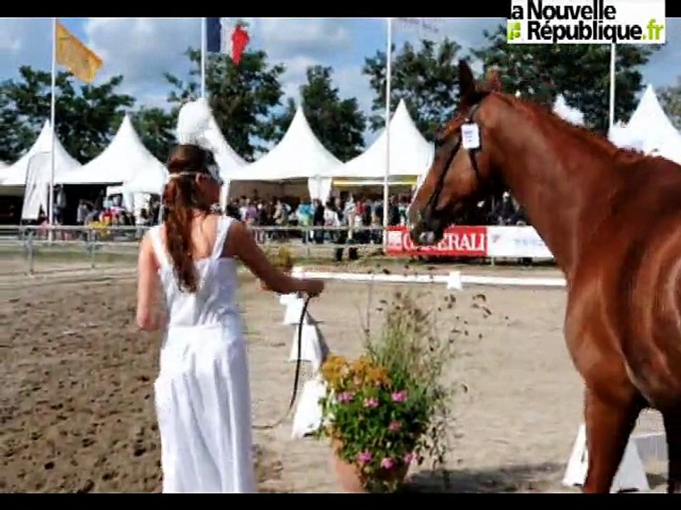 Meeting des propriétaires : des «Top Models» en piste !