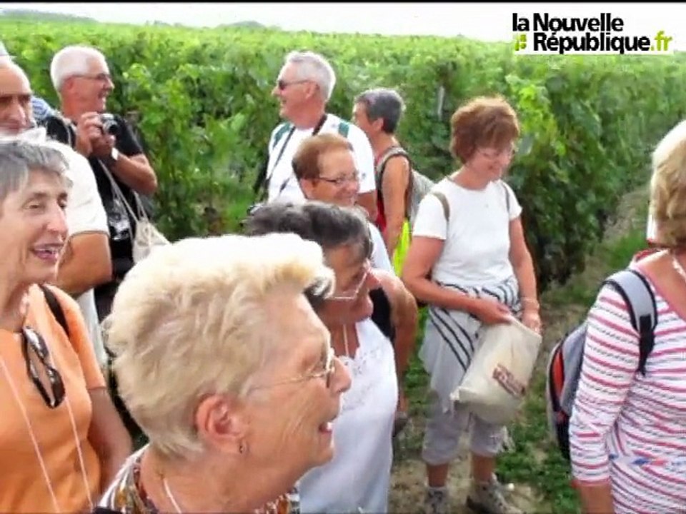 Vignes, vins et randos à Cravant-les-Coteaux