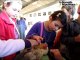 Parthenay :  ambiance au festival de l'élevage et de la gastronomie