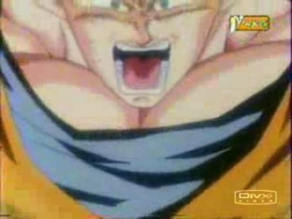 Super-saiyan-lesson[1]