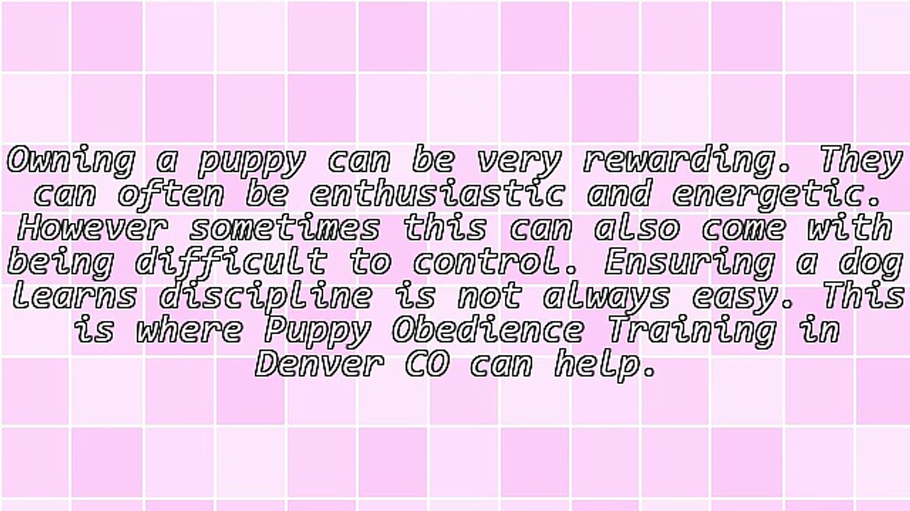 Finding Puppy Obedience Training In Denver CO