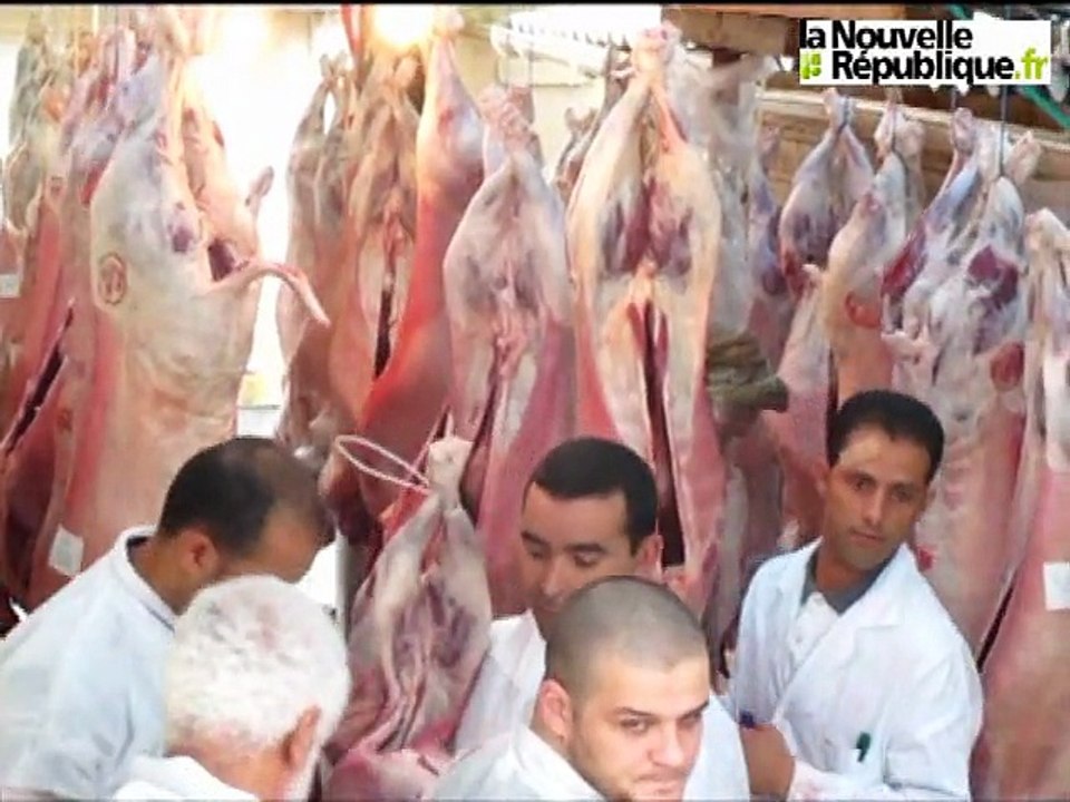 Aïd al Ad'ha : distribution de moutons à la mosquée de Tours