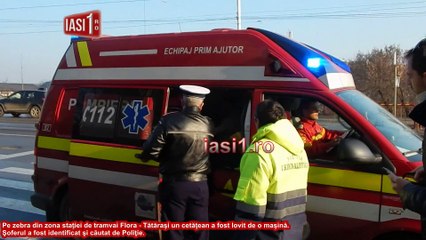 Pe zebra lovit de o masina