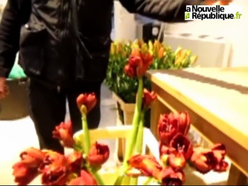 Les coulisses des décors de Noël au château de Chenonceau