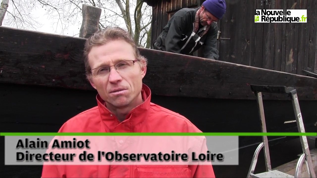 Une toue cabanée rejoint la Loire à Blois