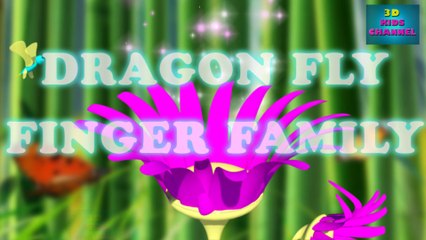 Dragon Fly Family Finger Family Nursery Rhymes for Children and Kids