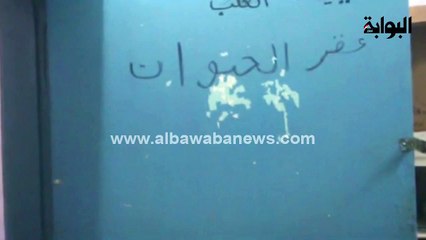 فحوصات مرشحي البرلمان بـ"عيادة الكلب" في المنيا