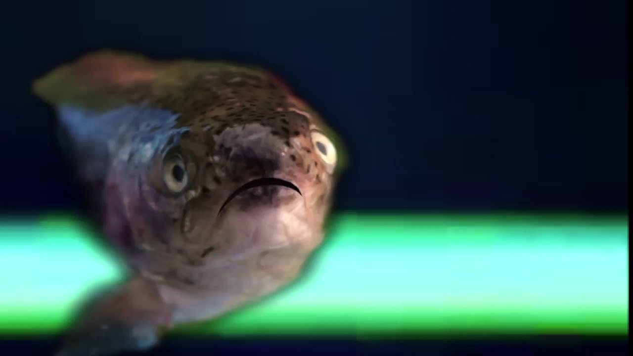 Fish sings Eminem Without Me on the Voice UK