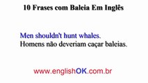 Frases Com Baleia Em Inglês