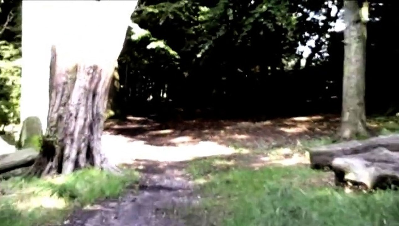 Train Kept On Rollin