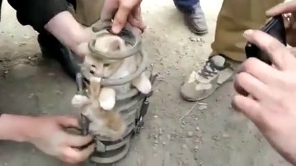 Faith in humanity: restored.