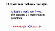 Frases Com Cachorro Em Inglês