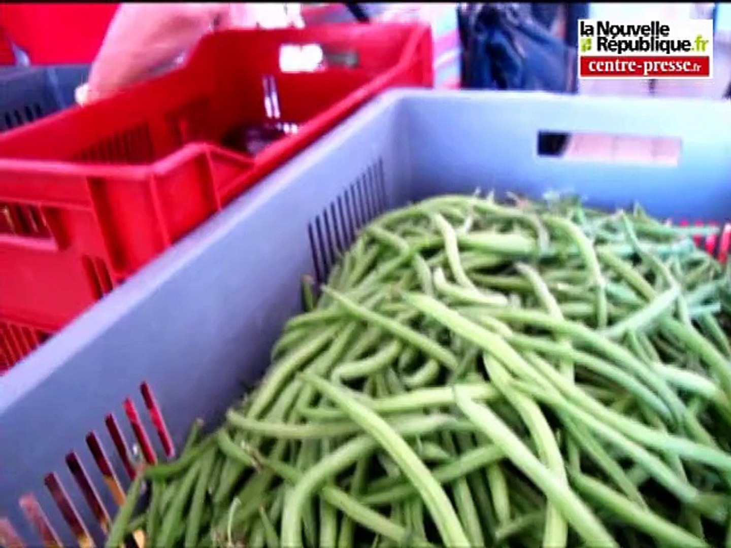 VIDEO Châtellerault: des paniers de légumes du producteur au consommateur -  Vidéo Dailymotion