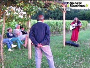 VIDEO. Promenade contée dans les vignes à Monthou-sur-Cher