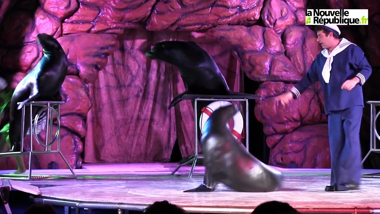 VIDEO. Sous le chapiteau du cirque sur l'eau à Tours