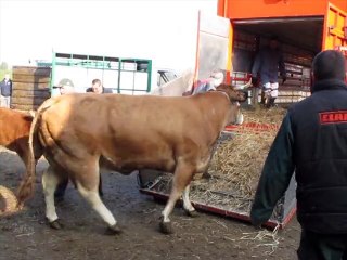 VIDEO. Direction le Salon de l'Agriculture pour les parthenaises
