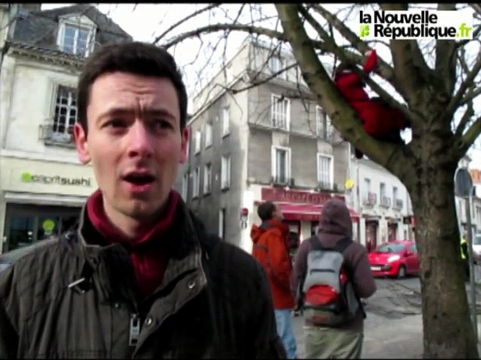 VIDEO. Tours : elles se perchent dans des arbres pour empêcher leur abattage