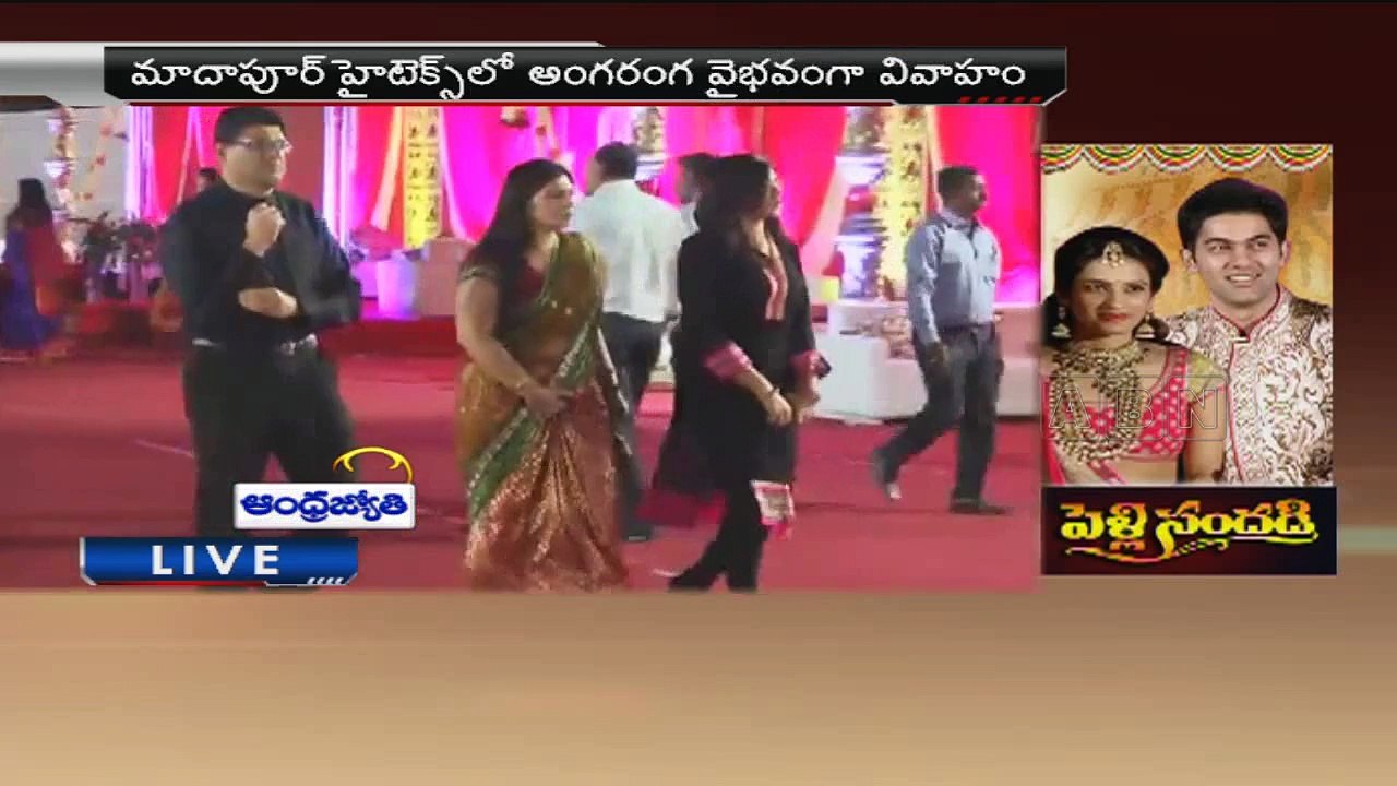 T Subbarami Reddy Grandson Rajiv wedding ceremony part 2 of 2 (06 - 02- 2015)
