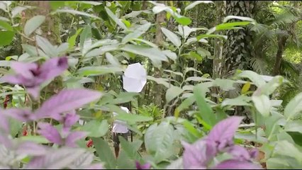 Alondra García Miró lució sus curvas para la revista Cosas (VIDEO)