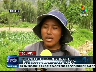 Bolivia: incrementa demanda del programa de seguro agrario gratuito