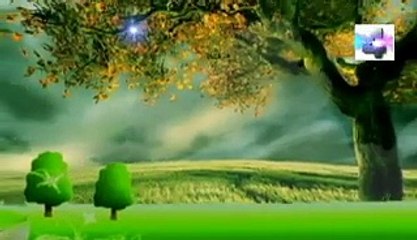 soñar con bebidas alcoholicas  significado de los sueños español latin