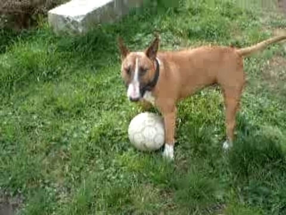 VIE TIG BALL