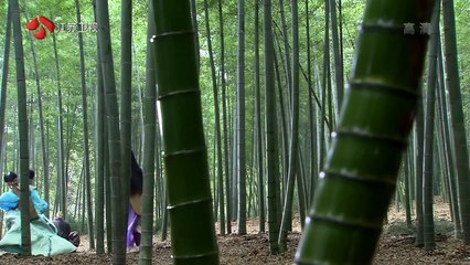 女娲传说之灵珠HD I The Holy Pearl Full Episode  (10)