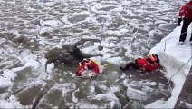 Des garde-côtes sauvent un chien tombé dans une rivière gelée.