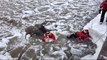 Des garde-côtes sauvent un chien tombé dans une rivière gelée.
